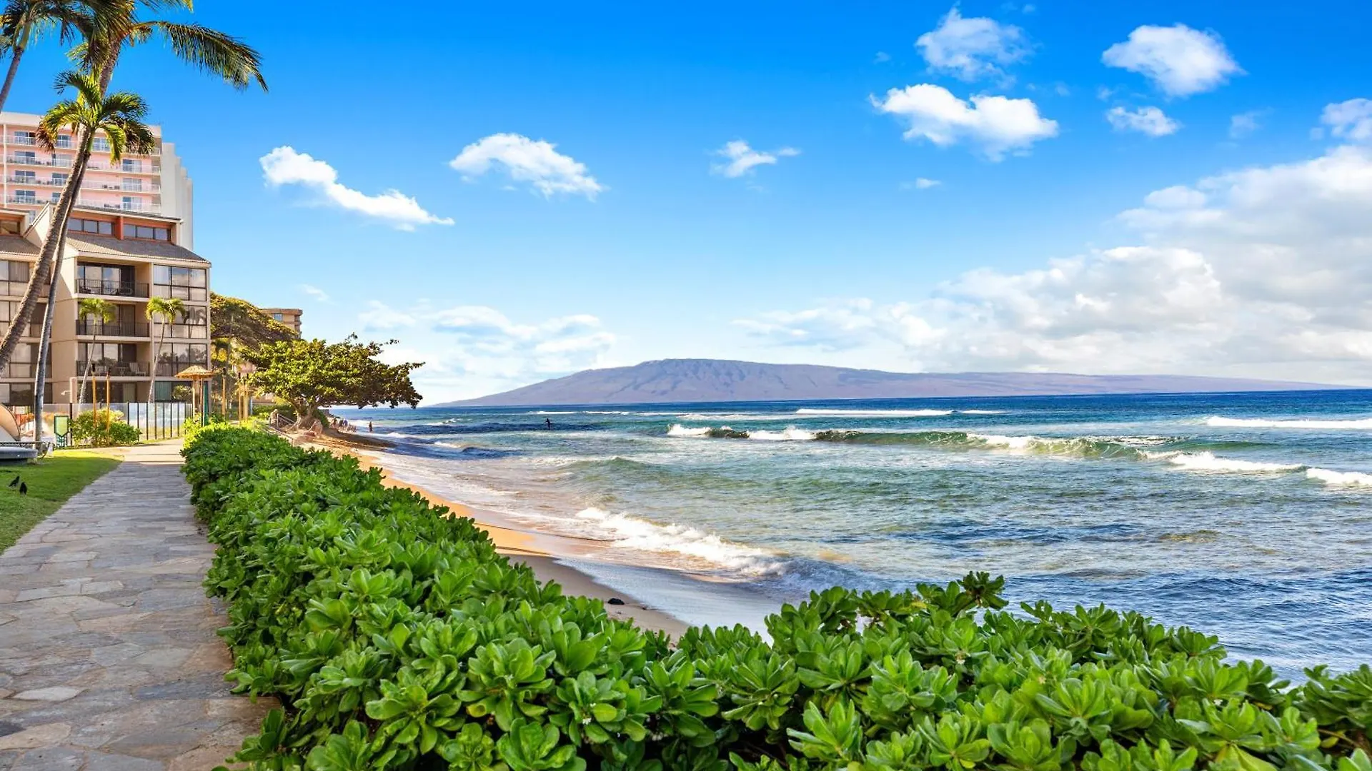 Kahana Kaanapali Shores 401 ארצות הברית